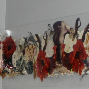 Collage Amaryllis